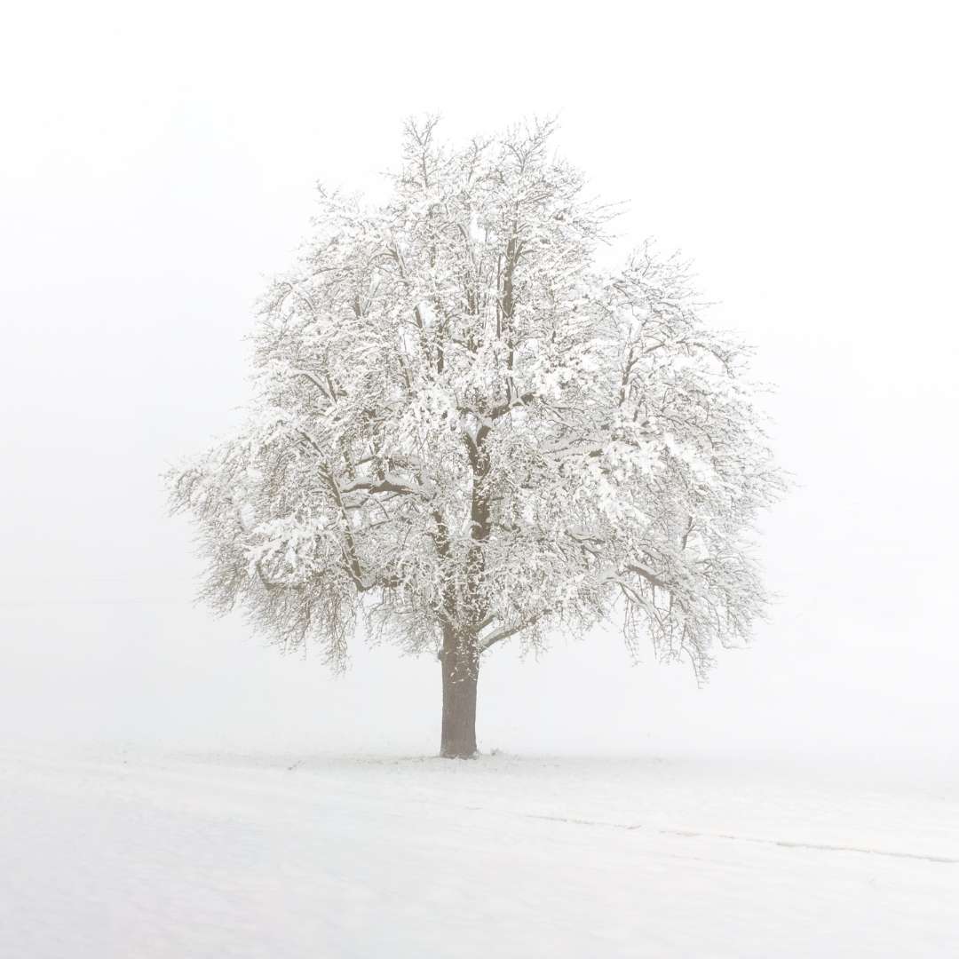 Holy Pause: A Winter Solstice Time of Reflection