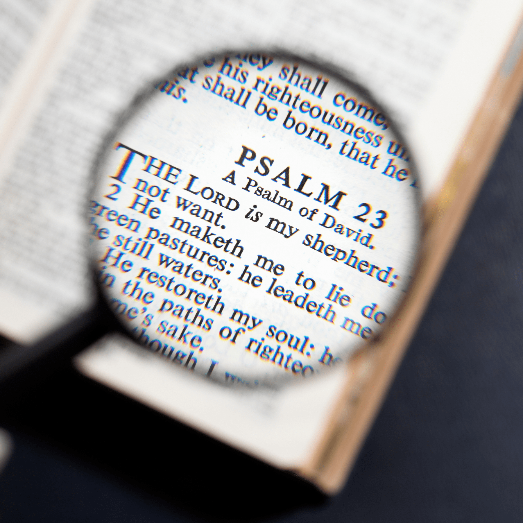 Midrash Lab: Psalm 23