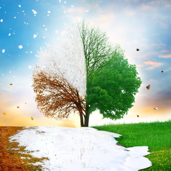 Writing with the Celtic Seasons