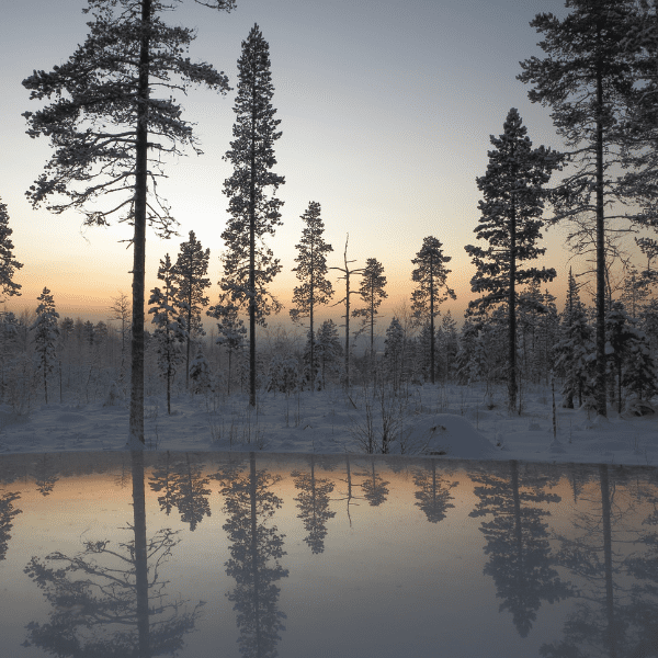 Winter Solstice Poetry Reading