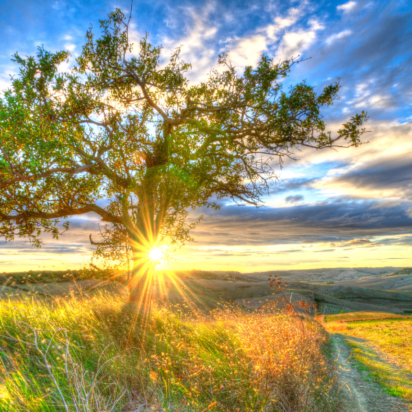 Sending You Light Song Event with Melanie DeMore