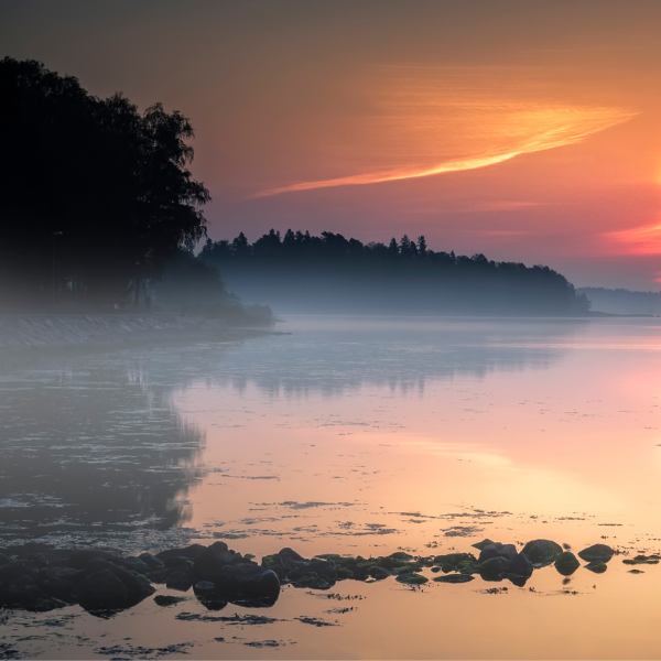 Mourning Pages: Writing with Grief