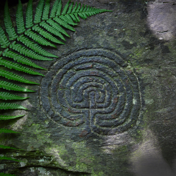 The Dance of Conflict Transformation